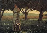 Winslow Homer The girl in the orchard oil painting